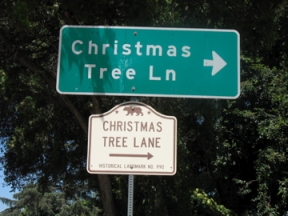 Christmas Tree Lane